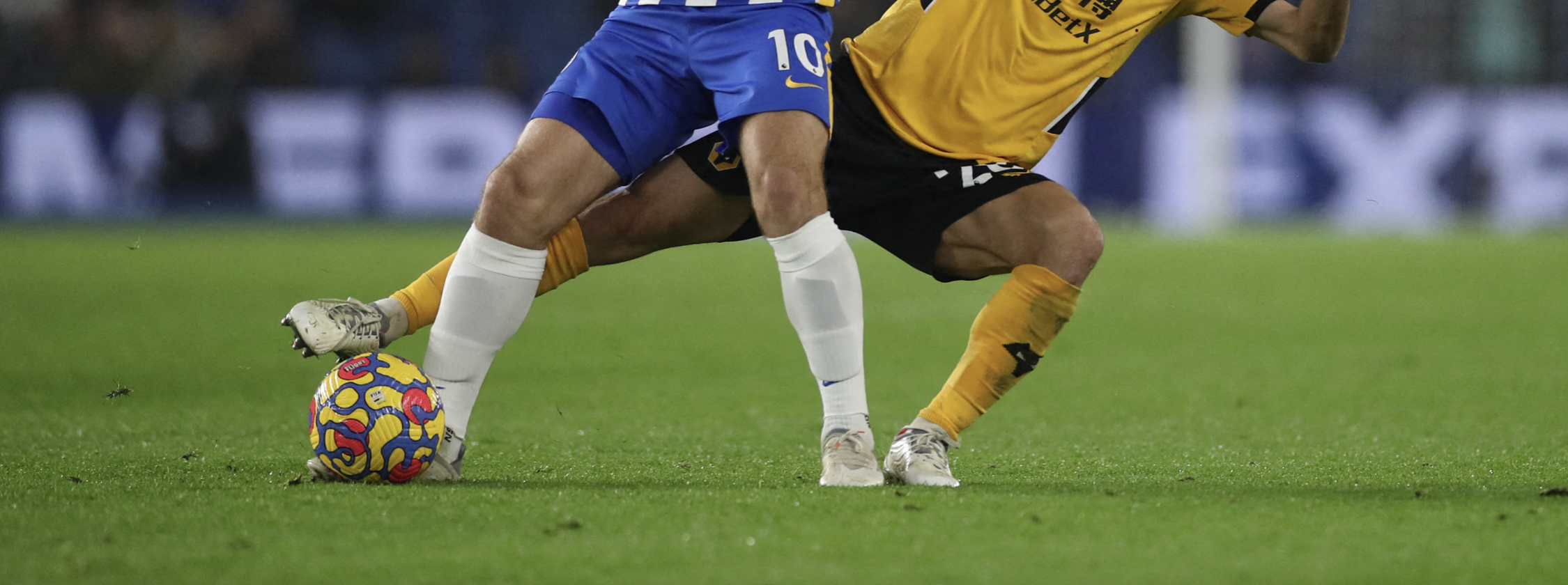 Brighton - Wolves