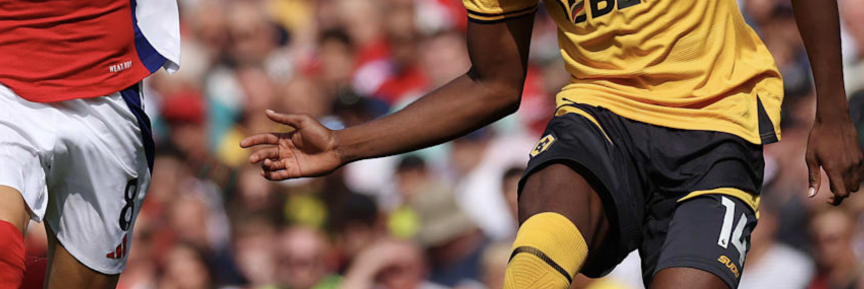 Wolves - Everton